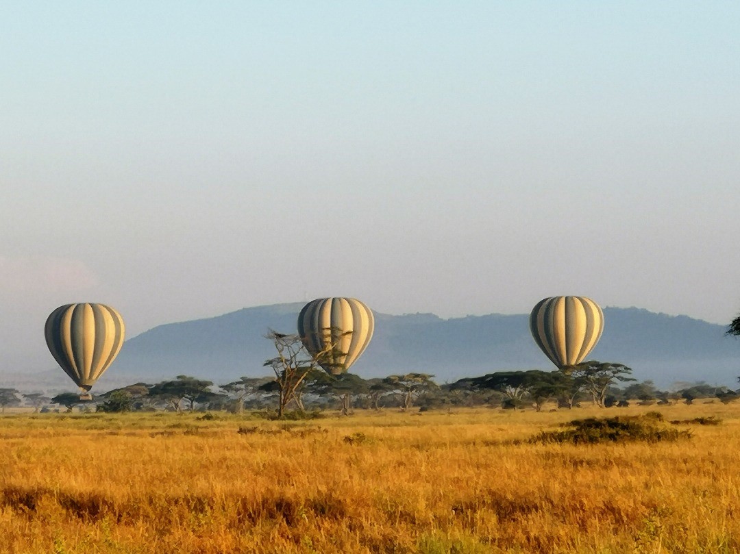 Serengeti