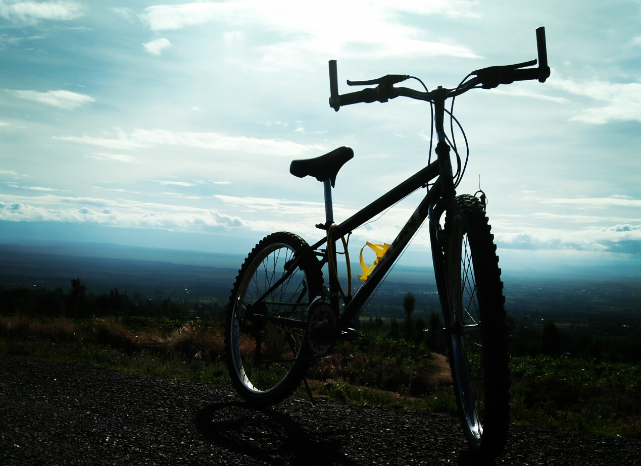 Biking tours