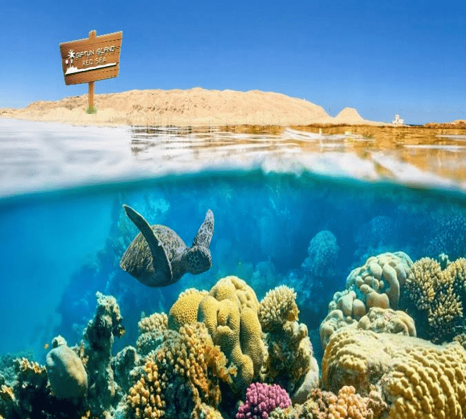 Best Of Ancient Egypt Tour: Cormorant Tours and Travel Safaris