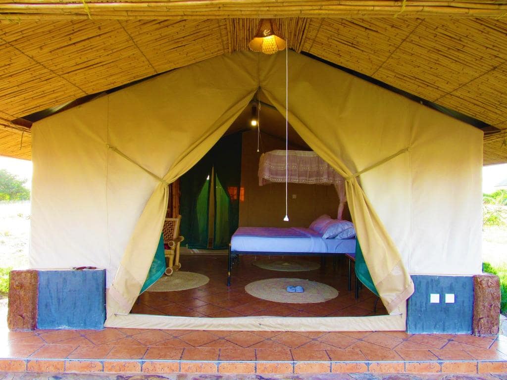 Amboseli Safari: Cormorant Tours and Travel Safaris