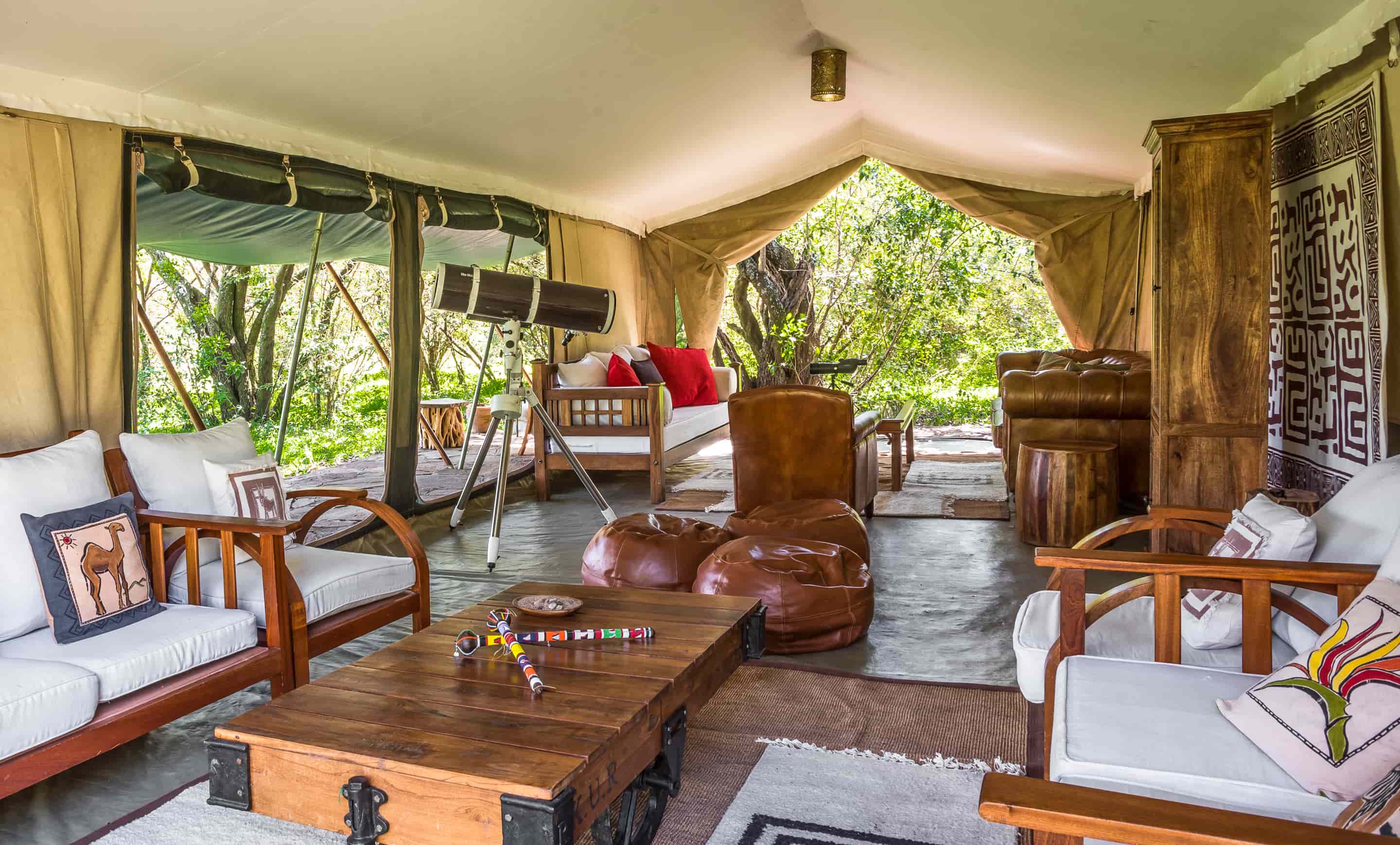 Kenya Safari: Cormorant Tours and Travel Safaris
