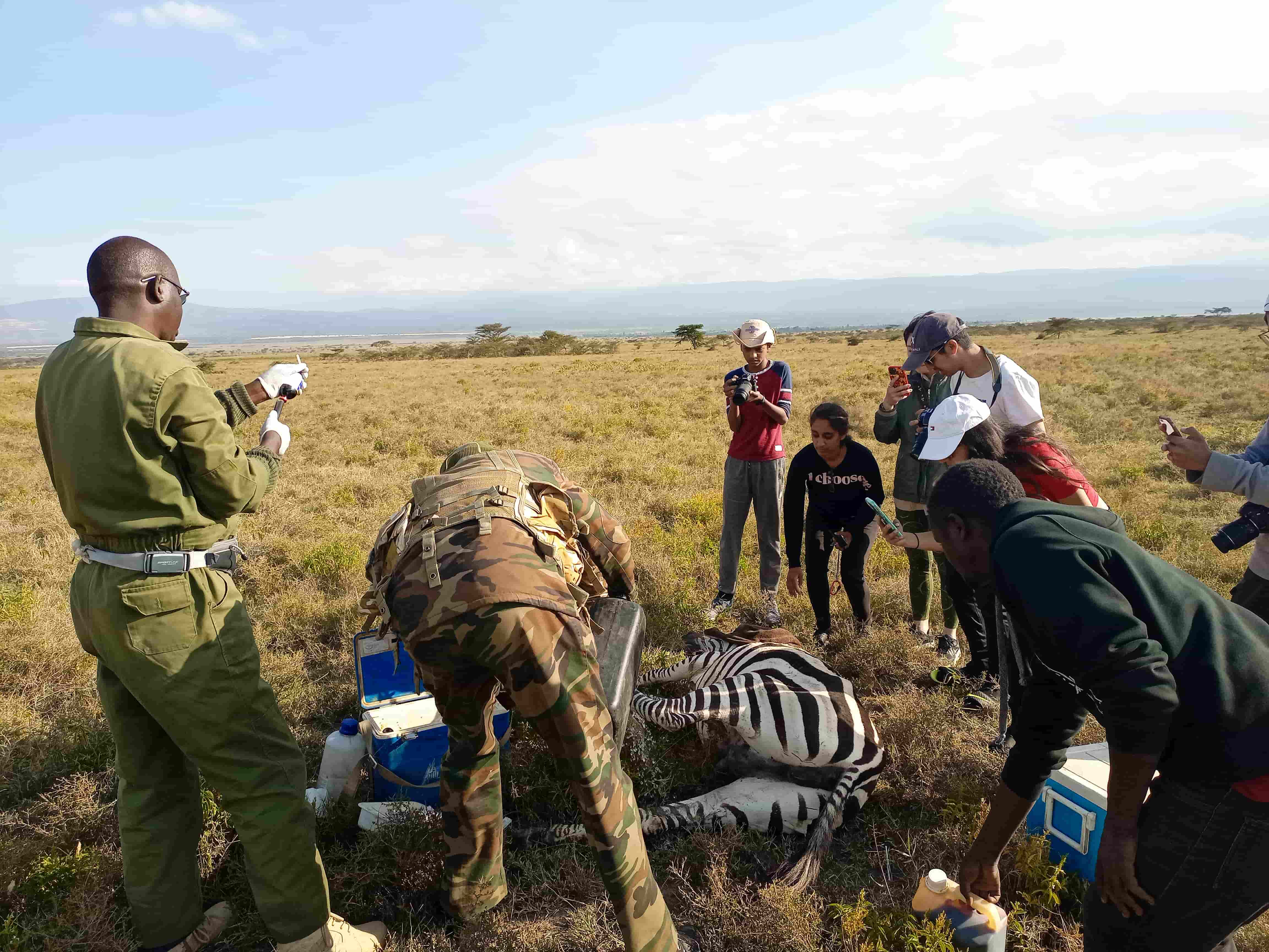 Hands on- Conservation